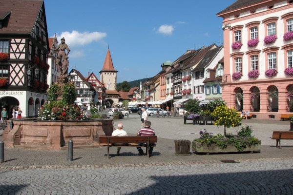 Kraken market place