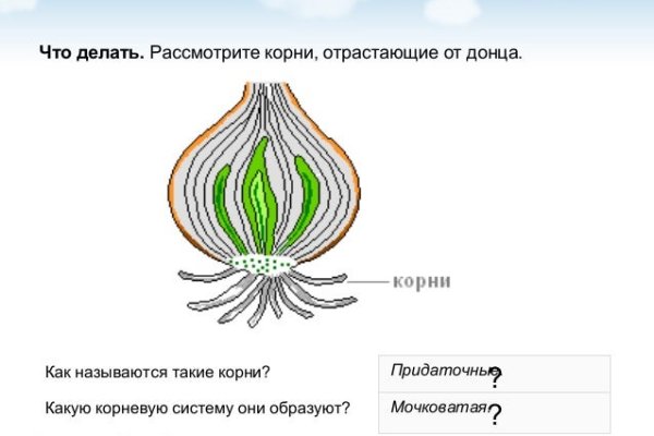 Не получается зайти на кракен