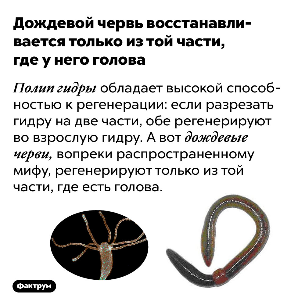 Kraken сайт зеркала krakens15 at
